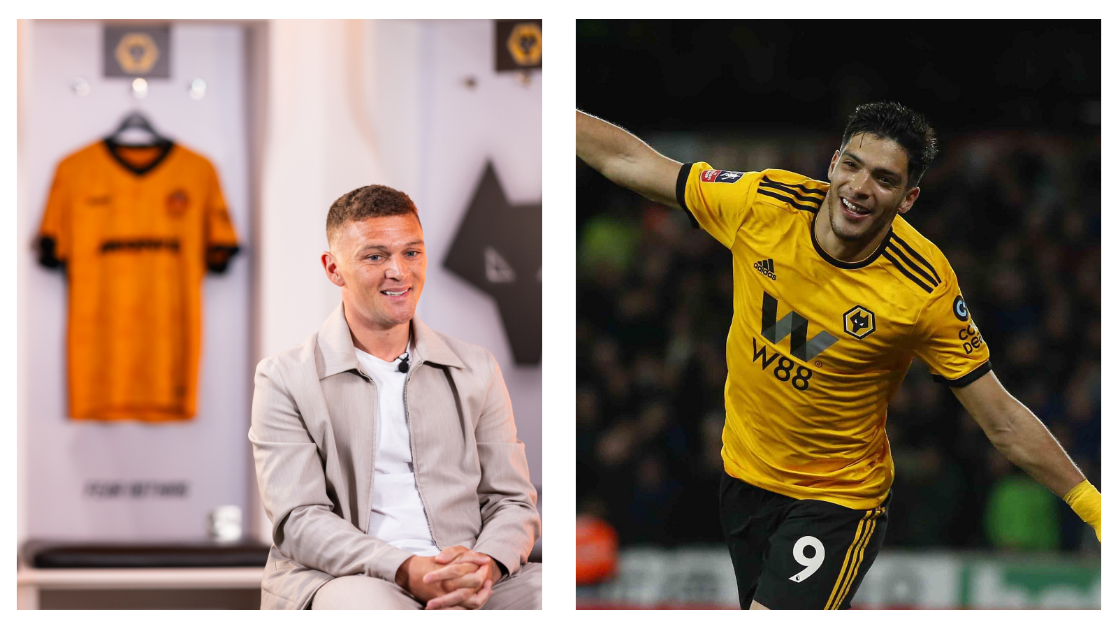 Wolves summer signings